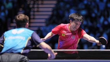 在这里打出 在这里打出