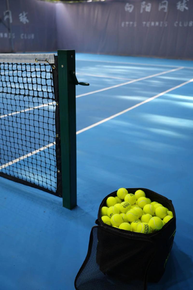 米体介绍国米潜在新援姆拉契奇：心智成熟，后场组织进攻稳健